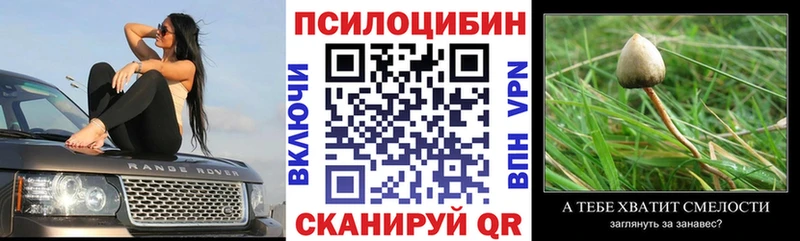 Псилоцибиновые грибы Psilocybine cubensis  Рыльск 